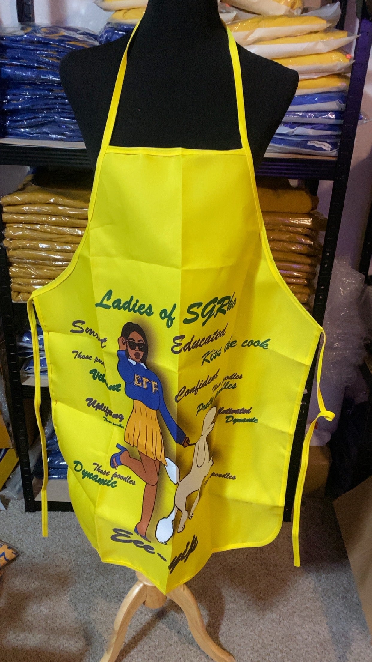 Sigma Gamma Rho Apron